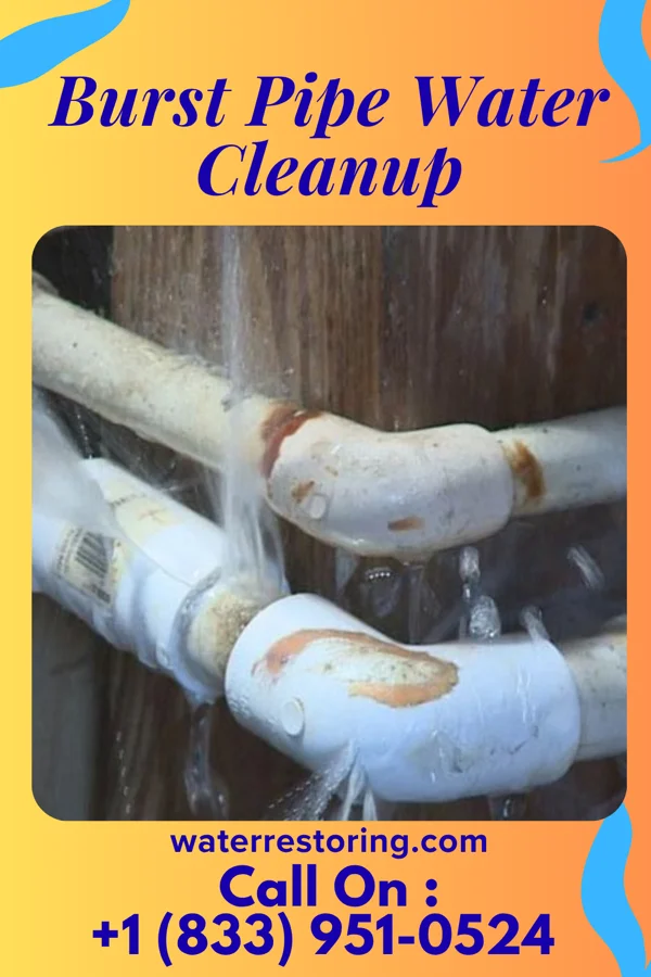 Burst Pipe Water Cleanup in East Bangor, PA