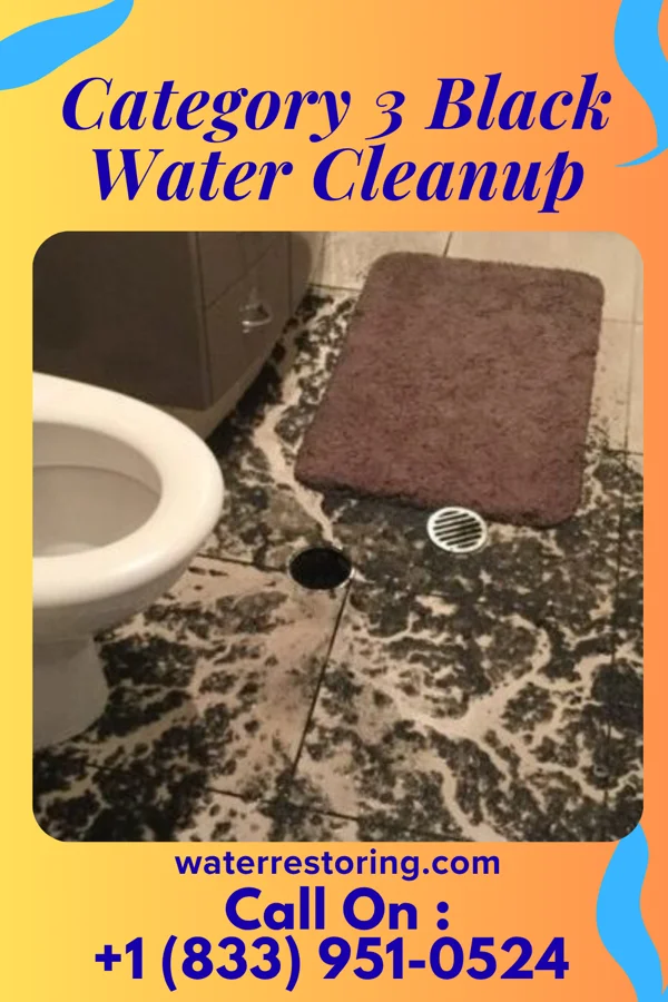 Category 3 Black Water Cleanup in East Bangor, PA
