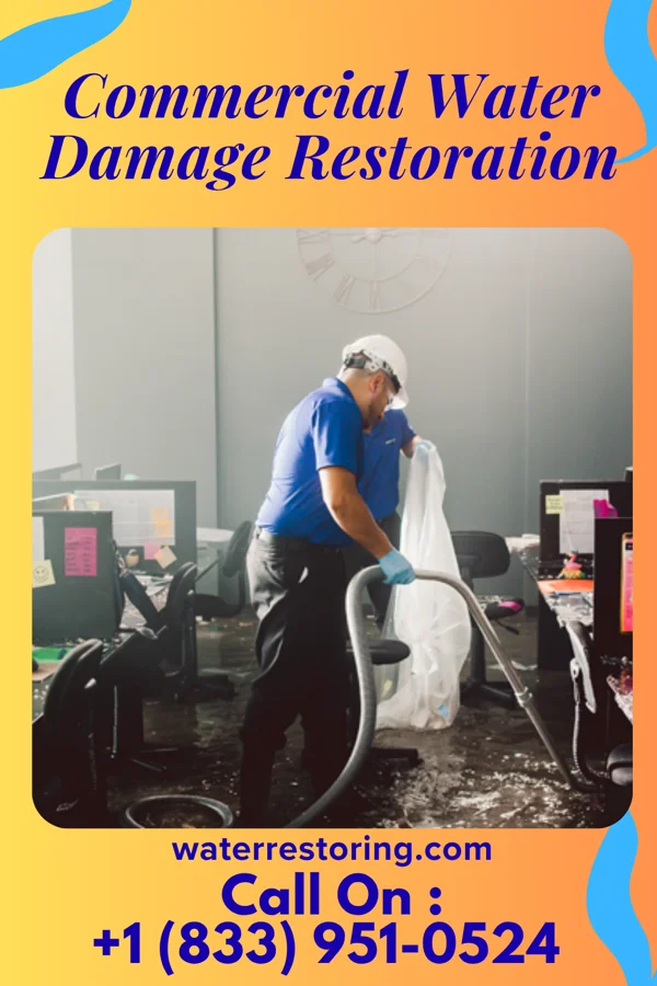 Commercial Water Damage Restoration in East Bangor, PA