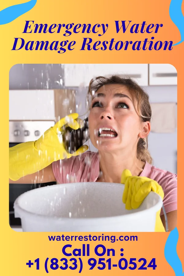 Emergency Water Damage Restoration in East Bangor, PA